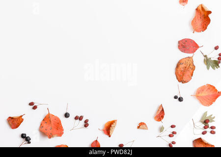 Autumn composition.Frame made of autumn dry multi-colored leaves and berries of chokeberry on white background. Autumn, fall concept. Flat lay, top view, copy space Stock Photo
