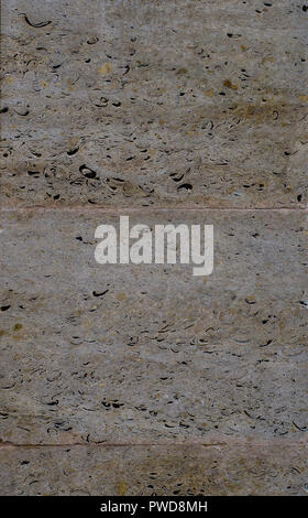 Colorful a limestone with many different colors like white, light brown, dark brown and many other. Stock Photo