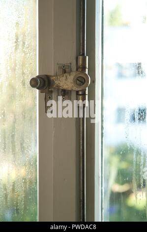 Wien, Werkbundsiedlung, Woinovichgasse 13, 15, 17 und 19, Häuser von Adolf Loos und Heinrich Kulka Stock Photo