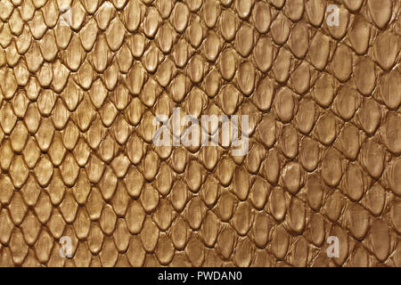 Golden Snake Skin Fashion Leather Texture Background Stock Photo