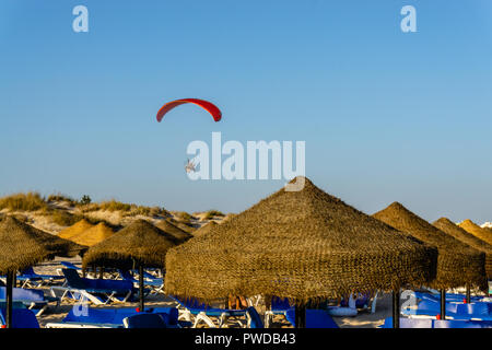 Paraglider with motor flying over the beach Stock Photo