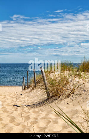 Dune at the Baltic Sea, Grass sand dune beach sea view Stock Photo