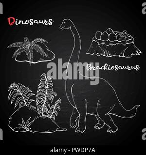 Vector Brachiosaurus with plant and stone on chalk blackboard. Stock Vector