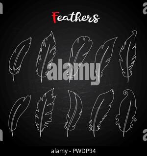 Vector hand draw fethers set in doodle style,isolated Stock Vector