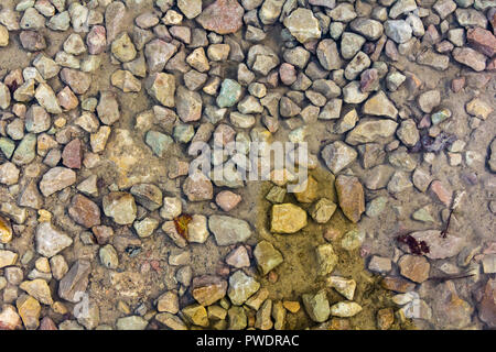Close up wet stony soil in a autumn, abstract background Stock Photo