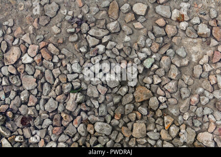 Close up wet stony soil in a autumn, abstract background Stock Photo