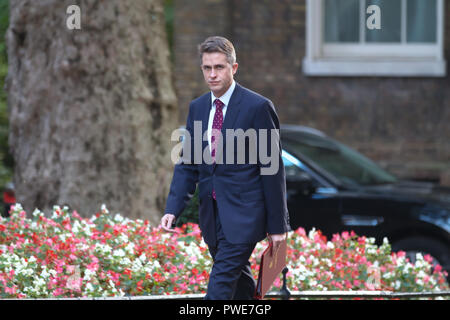 London,UK,16th October 2018,Secretary of State for Defence The Rt Hon Gavin Williamson CBE MP arrives for the Cabinet meeting in 10 Downing Street, ahead of a crunch Brussels Summit tomorrow. Theresa May will deliver an appeal to break deadlock at the summit. Top ministers met late last night In Andrea Leadsom’s office while eating Pizza to discuss details further.Credit: Keith Larby/Alamy Live News Stock Photo