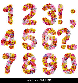 numbers of flowers isolated on a white background Stock Photo