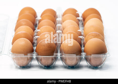 Two dozen brown organic cage-free eggs in a plastic container, isolated on white background. Stock Photo