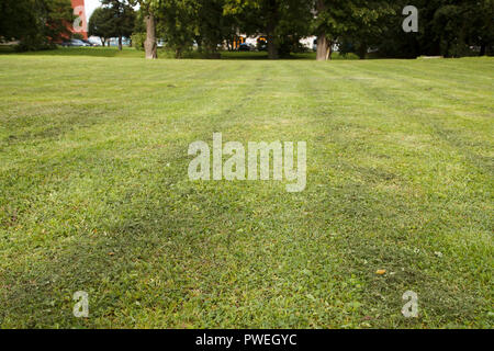 freshly mowed lawn in the city park Stock Photo