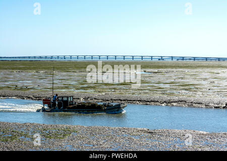 Flat bottomed oyster boat with bags of oysters and Oleron bridge, Charente Maritime, Nouvelle-Aquitaine, France Stock Photo