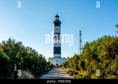 The Chassiron Lighthouse, Oleron island, Charente maritime, Nouvelle-Aquitaine, France Stock Photo