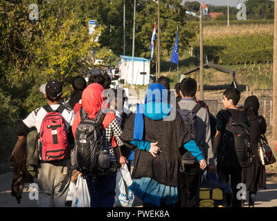 BERKASOVO, SERBIA - OCTOBER 3, 2015: Refugees walking towards the Croatian border crossing  on the Croatia Serbia border, between the cities of Bapska Stock Photo