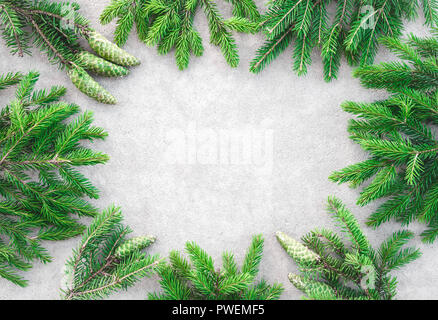 Frame made of green pine branches with cones, on light gray concrete background. Stock Photo