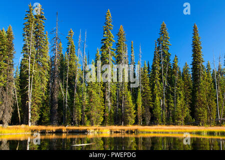 Little Lava Lake, Cascade Lakes National Scenic Byway, Deschutes ...