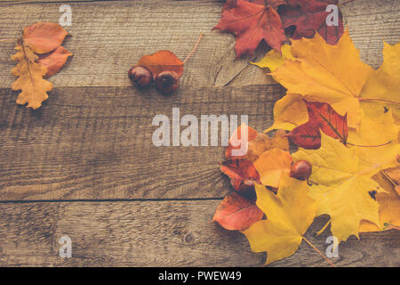 Autumn colorful leaves and chestnuts on wooden board. Stock Photo