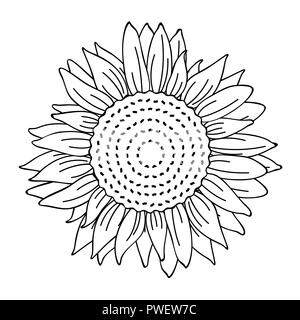 sunflower simple drawing outline for coloring book vector illustration EPS10 Stock Vector