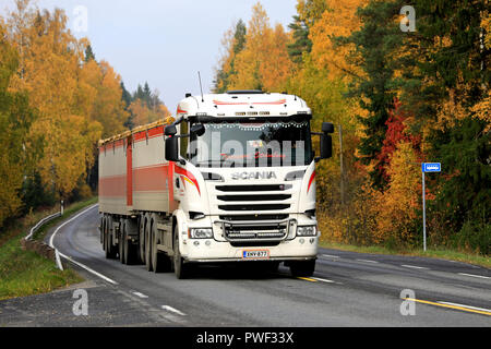 Salo, Finland - October 13, 2018: White Scania R730 of Transport Stromberg in seasonal sugar beet haul on rural highway flanked by autumn foliage. Stock Photo
