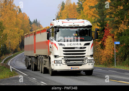 Salo, Finland - October 13, 2018: White Scania R730 of Transport Stromberg in seasonal sugar beet haul on rural highway flanked by autumn foliage. Stock Photo