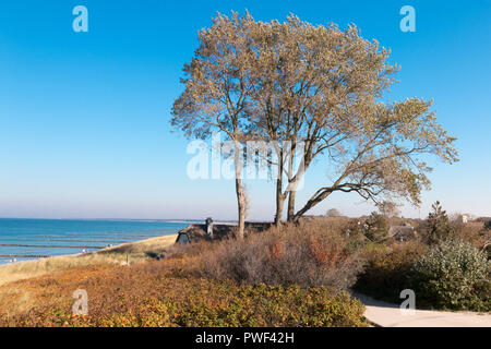 Typical view on the beach of the holiday resort Ahrenshoop at the German Baltic Sea coast. Stock Photo