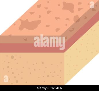 layer of skin type vector illustration design Stock Vector Image & Art ...