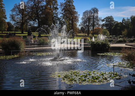 View over a pool with fountain and clusters of lily pads in the Italian Garden in Kensington Gardens, London; huge trees and lawn in Hyde Park beyond. Stock Photo