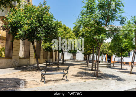 Cordoba, Spain - June 20: EMPTY CHAIRS AND TABLE BY TREES AGAINST SKY on streets of Cordoba, Spain, Europe Stock Photo