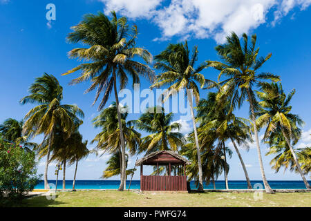 The view from Hotel María la Gorda, an excellent base location for birding in Guanahacabibes, Cuba. Stock Photo