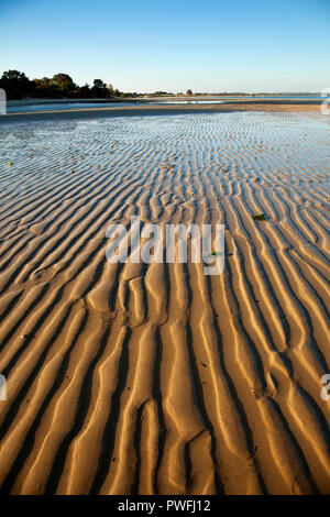 Undulations in the sand on Studland beach at low tide, Dorset, Uk Stock Photo