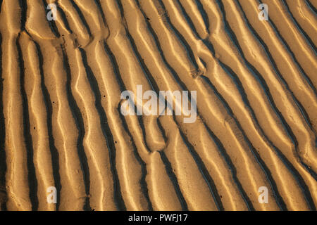 Undulations in wet sand on Studland beach at low tide, Dorset Stock Photo