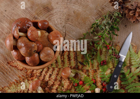 Autumn still life with mushrooms and forest plants. View from above. Stock Photo