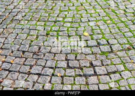 Old paving stone. Paving stones with moss close-up. Stock Photo