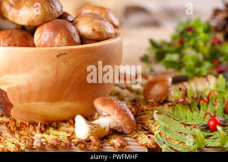 Still life with fresh mushrooms and wild berries and plants. Close-up. Stock Photo