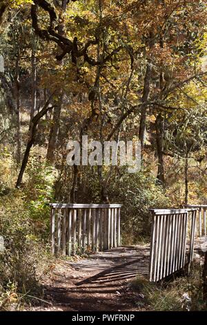 A footbridge on a hiking trail at Mount Pisgah Arboretum in Eugene, Oregon, USA. Stock Photo