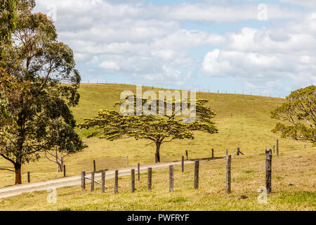 Australian countryside. Road through the farms. Sunshine coast, Queensland, Australia Stock Photo