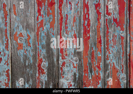 Old wood door built of vertical gray weathered planks, has paint worn off through three layers - red, blue and orange, grain visible. Good background. Stock Photo