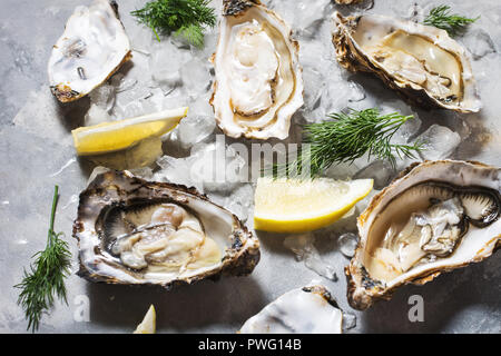 Opened Oysters with lemon on gray concrete texture background. Stock Photo