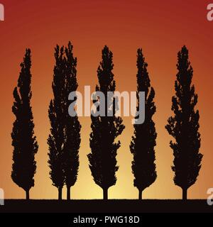 Realistic illustration of silhouettes of five trees - poplars, grass and rising or setting sun on morning or evening orange sky - vector Stock Vector