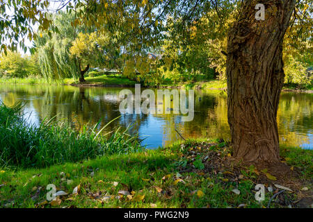 Autumn river with reflections of weeping willows viewed past a tree branches and leaves Stock Photo