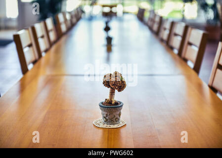 Big event, corporate or wedding wooden dinner table and chairs. Long wooden table with bonsai like decoration in small vase in event venue is ready fo Stock Photo