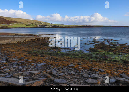 Rocky beach and boat ramp revealed at low tide on the Bay of Firth, Orkney, Scotland. Sea reflects blue sky and white clouds. Green hills in distance.