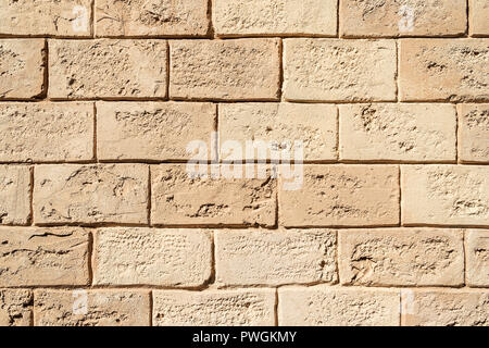 Texture brickwork from decorative shellfish, like art background Stock Photo
