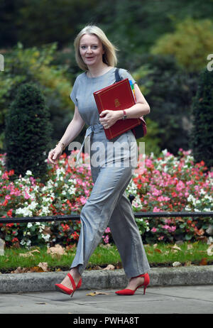 Chief Secretary to the Treasury Elizabeth Truss arrives in Downing Street, London, for a Cabinet meeting. Stock Photo