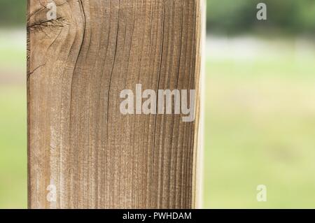 Isolated wooden column in the park - Architectural background (Marche, Italy, Europe) Stock Photo