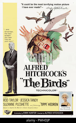 The Birds (1963) directed by Alfred Hitchcock and starring Rod Taylor, Tippi Hedren, Jessica Tandy and Suzanne Pleshette. Masterful film adaptation of Daphne Du Maurier’s horror story about birds attacking humans. Stock Photo