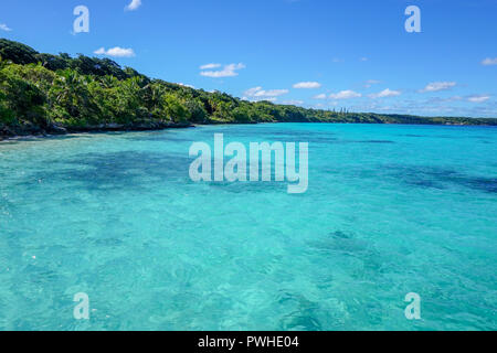 Lifou's bright blue waters along the treeline Stock Photo