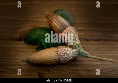 Beautiful California live oak (Quercus agrifolia) acorns on wooden table viewed from the top Stock Photo