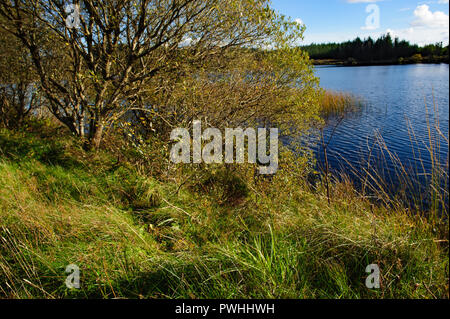 Scenic view on Meenameen lake in Lough Navar Forest in Co. Fermanagh, Ireland Stock Photo