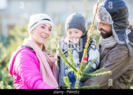 Family buying Christmas tree on market Stock Photo