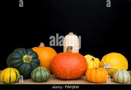 An assortment of different types of pumpkins, Winter Squash and Gourds  on a market stall shelf with a black background and copy space. Stock Photo